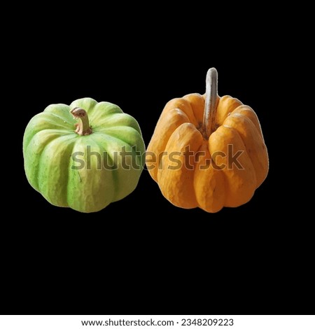 silver Pumpkin orange food set