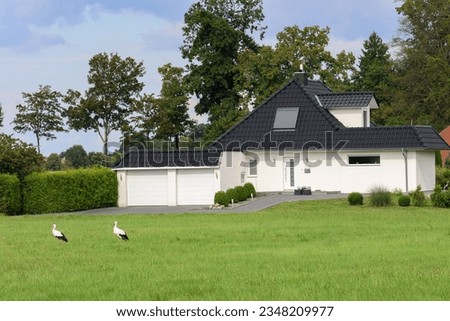 two storks stand on a green lawn next to a private house in Germany