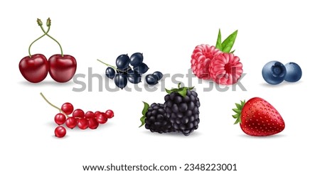 Juicy vector berries raspberry, blueberry, cherry, currant, blackberry, strawberry on white background. Fresh, realistic, and organic fruit illustrations. Ideal for food, health, and nature designs. Royalty-Free Stock Photo #2348223001