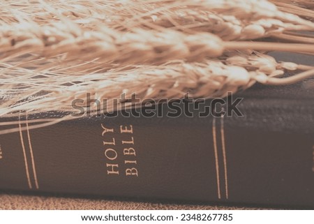 Brown book of holy bible and wheat for concept of religion and inspiration