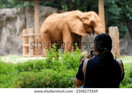 A mother uses her cell phone to take a picture of her daughter as she tours the zoo with elephants in the background