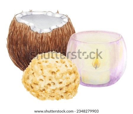Yellow sea sponge, coconaut and violet glass candlestick with candle, vase. Watercolor hand drawn illustration. Natural eco product for body washing and selfcare. Washcloth for sauna, spa salon