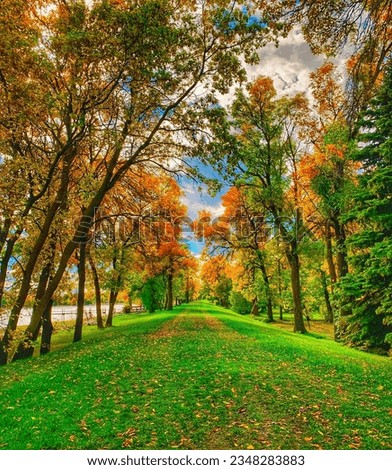 Path alongside Lake Winnipeg between the trees in fall