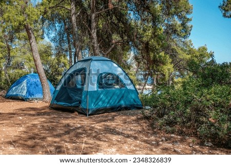 Camping and tent under the pine forest near the sea with beautiful sunlight in the morning