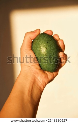 Avocado in hand on a white background close-up