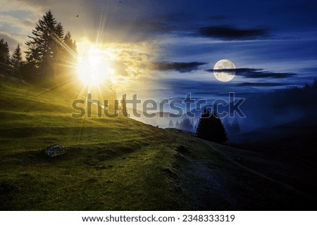 fir trees on meadow between hillsides with conifer forest in fog with sun and moon at twilight. day and night time change concept. mysterious countryside scenery in morning light Royalty-Free Stock Photo #2348333319