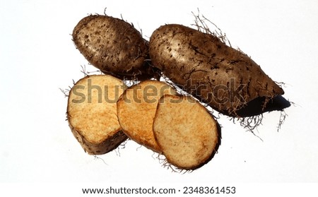 Lesser yam. Lesser tuber yam. Dioscoreaceae. Is a tuber plant that can be an alternative food source to replace rice. As a food source during the food crisis in Asia Royalty-Free Stock Photo #2348361453