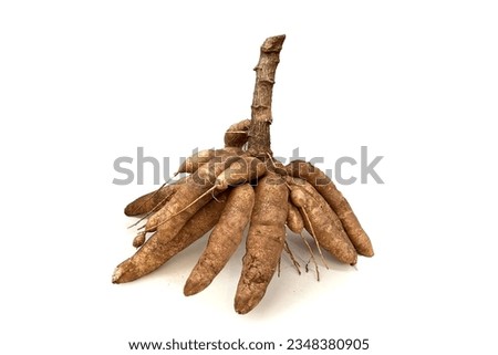 Cassava on a white background. Royalty-Free Stock Photo #2348380905
