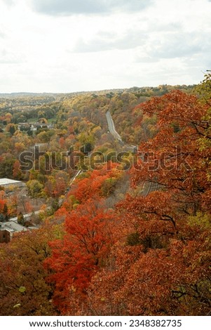 Autumn's elegance and multicolour leaves in Dundas Perak, Hamilton, Ontario