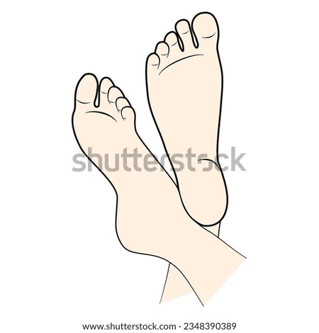 Line drawing of the left and right foot soles. Bottom of feet. Vector flat illustration on white background. Editable stroke.