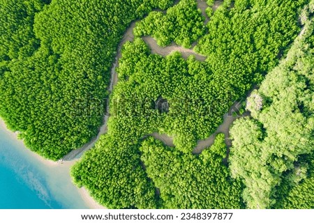 River and green forest mangrove. Beautiful natural scenery of river in southeast Asia tropical green forest, aerial view drone shot. Royalty-Free Stock Photo #2348397877