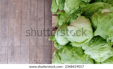 High Angle View Fresh green Cabbage Vegetables with wooden board copy space for text Royalty-Free Stock Photo #2348419017