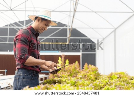 Happy Black Pew Asian farmer proudly standing in organic lettuce greenhouse garden. Young male salad garden owner working on a hydroponic vegetable farm. Healthy food and vegan food in the garden