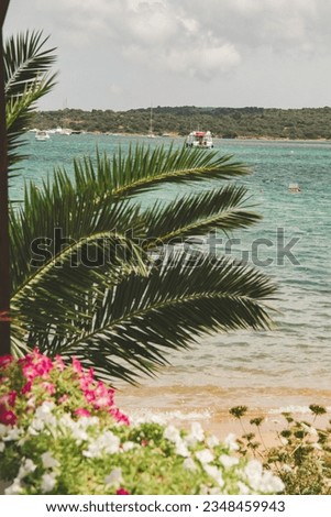 view through flowers and palm leaves to a ship on the surface of the sea