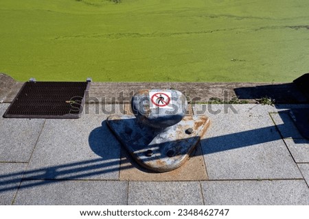 Mooring place for yachts and boats. Blooming water. Algae pollute the water. film of algae on the surface of the water. Pedestrian warning.