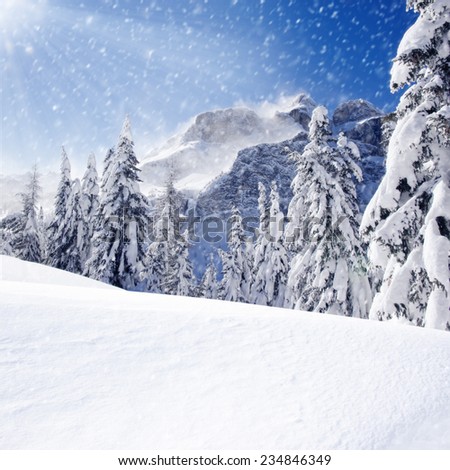 Photo of winter landscape with trees and mountains covered by snow