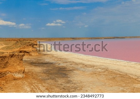 View of the pink salty Syvash lake in Kherson region, Ukraine Royalty-Free Stock Photo #2348492773