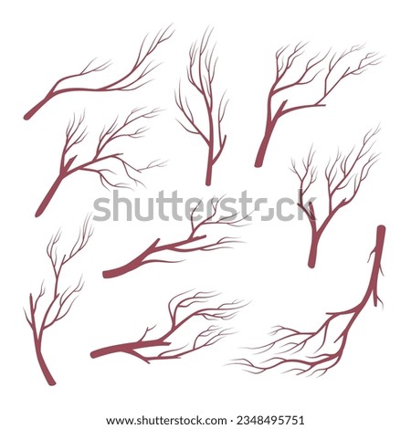 Tree branches silhouette wooden dry plant different shape set vector flat illustration. Dried autumn fall natural wood forest environment element seasonal landscape stick bare trunk twig botany decor Royalty-Free Stock Photo #2348495751