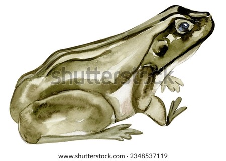Watercolor hand drawn frog . Watercolor illustration of wild animal. Perfect for wedding invitation, greetings card, posters.