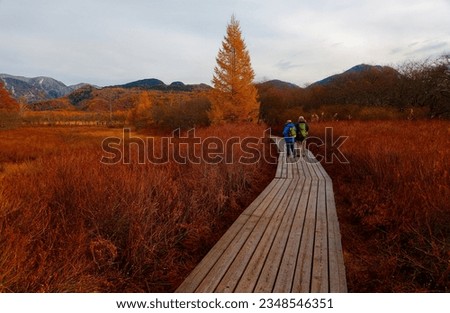Autumn scenery of Senjogahara 戦場ヶ原, which is a preserved wetland in Nikko National Park, in Tochigi Prefecture, Japan, with tourists hiking on a plank pathway thru the grassy field on a gloomy morning Royalty-Free Stock Photo #2348546351