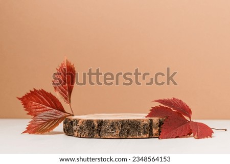 Empty wooden product podium with autumn leaves on brown and white background. Podium for design, cosmetic and product, presentation, fall concept Royalty-Free Stock Photo #2348564153
