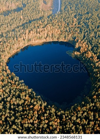 Aerial Drone view of colorful top of the forest and a lake at Autumn