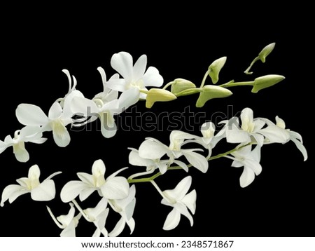Flower background. Bouquet. Decoration with various flowers for text or advertisement.