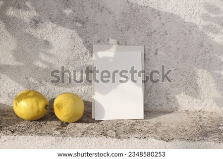 Blank greeting card invitation mockup in sunlight, floral foliage shadows overlay. Fresh lemons fruit. White shabby old textured wall background. Elegant modern minimal wedding, birthday stationery.