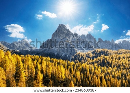 Incredible autumn view at Italian Dolomite Alps. Orange larches forest and foggy mountains peaks on background. Dolomites, Italy. Landscape photography Royalty-Free Stock Photo #2348609387