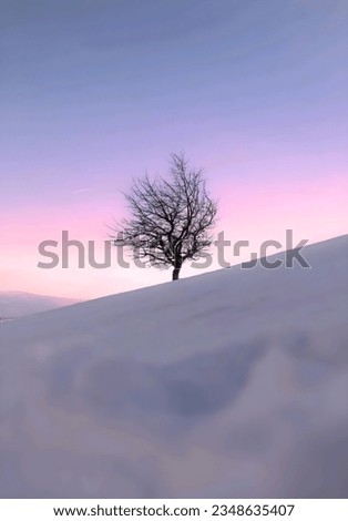 leafless tree on snow hill with sunset atmosphere 