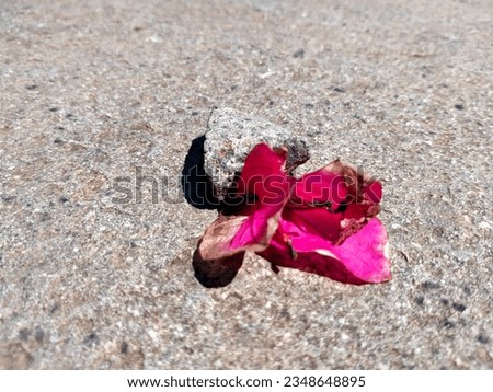Dried bougainvillea stuck to a small stone on the marble floor
