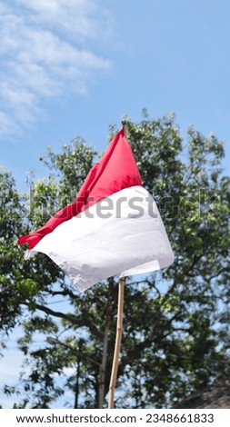 flying the flag of the republic of Indonesia