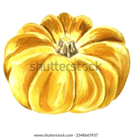 Watercolor illustration of yellow pumpkin. Hand drawn watercolor illustration JPEG for design, fabrics, wrapping paper, wallpaper, covers, greeting cards, prints on clothing, textiles