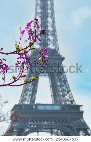 Flower buds with the Eiffel Tower in the background.