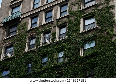 Moss and vines on the facade of an Upper West Side residential apartment building in Manhattan, New York City Royalty-Free Stock Photo #2348669181