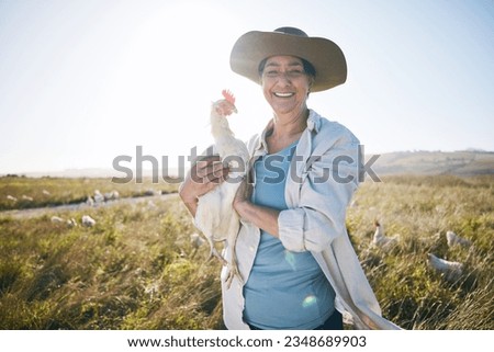 Agriculture, farm and a woman outdoor with a chicken animal care, development and small business. Farming, sustainability and portrait of a poultry farmer person with organic produce in countryside