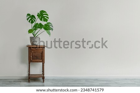 Monstera deliciosa or Swiss Cheese Plant in a gray flower pot on an old wooden table, home gardening and connecting with nature Royalty-Free Stock Photo #2348741579