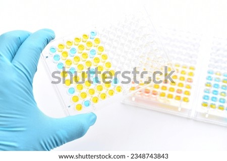 Enzyme-linked immunosorbent assay or ELISA plate, Immunology testing method in medical laboratory Royalty-Free Stock Photo #2348743843