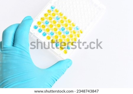 Enzyme-linked immunosorbent assay or ELISA plate, Immunology testing method in medical laboratory Royalty-Free Stock Photo #2348743847