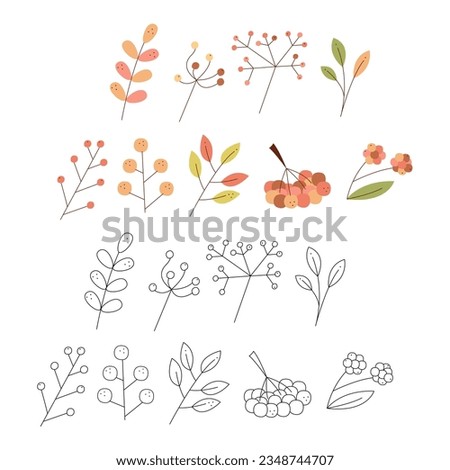 Set of abstract autumn leaves and berries. Black and white and color clipart vector illustration.