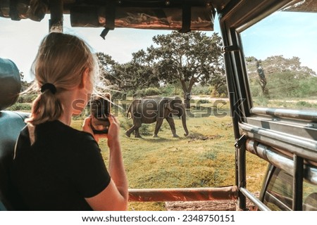 Wildlife safari.Eco travel in the jungle with wild animals elephants.Tropical tourism in the wild life of elephants.Road trip jungle,eco safari.Elephant wild life,wild life banner,eco travel Royalty-Free Stock Photo #2348750151