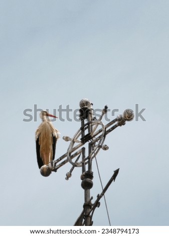 Stork perched on cross, Spain Royalty-Free Stock Photo #2348794173