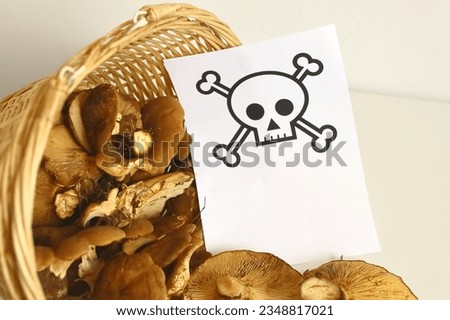 mushrooms in a basket, carefully poisonous mushrooms, carefully poison, poisonous, check mushrooms, beautiful mushrooms, season, forest picking season, non-edible Royalty-Free Stock Photo #2348817021