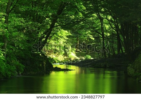 Summer mountain stream in Sumita Town, Iwate Prefecture Royalty-Free Stock Photo #2348827797