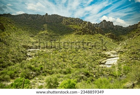 Sabino Canyon with saguaro cactus.  It is a significant canyon located in the Santa Catalina Mountains and the Coronado National Forest north of Tucson, Arizona Royalty-Free Stock Photo #2348859349