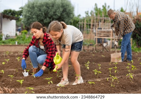 Positive child girl working with mother and father at allotment, concept of sustainable living Royalty-Free Stock Photo #2348864729