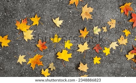 Fallen autumn leaves scattered on concrete surface. Texture Royalty-Free Stock Photo #2348886823