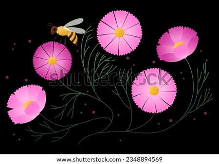 Vector illustration of cosmos flowers and a bee.