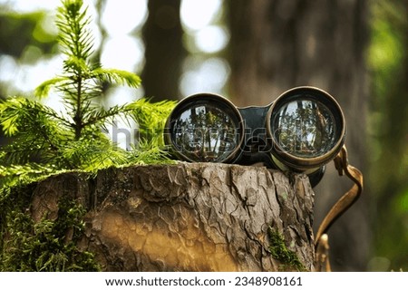 Binoculars resting on a weathered tree stump, binocular lenses reflecting the surrounding trees Royalty-Free Stock Photo #2348908161