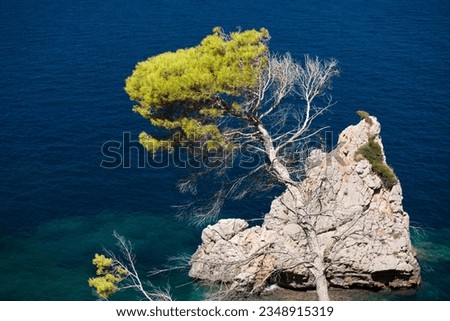 Views of the bay of Pollenca, Majorca, Balearic Islands, Spain, Europe